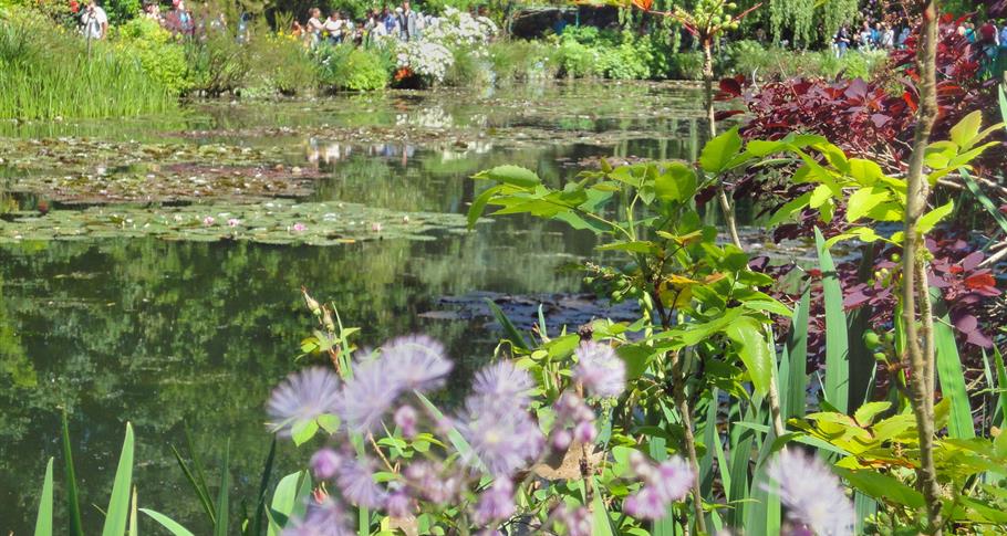 flowers Giverny 