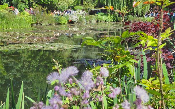 flowers Giverny  - Chateau de Bouafles